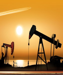 Oil